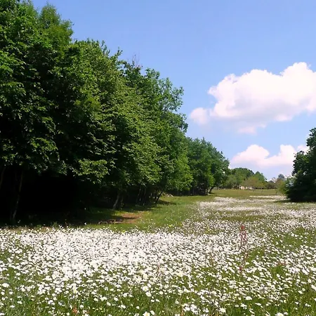 別荘 Domaene Mit Jacuzzi By Interhome *