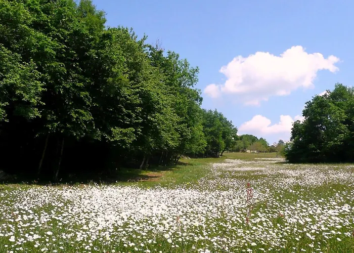 別荘 Domaene Mit Jacuzzi By Interhome *