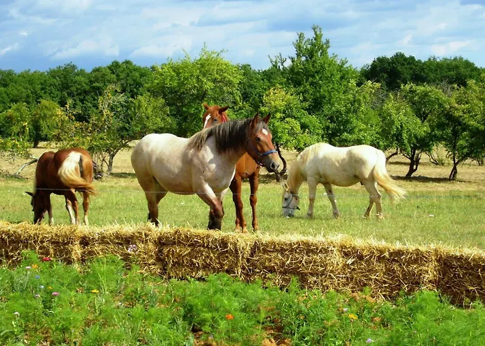 Domaene Mit Jacuzzi By Interhome 度假居 *