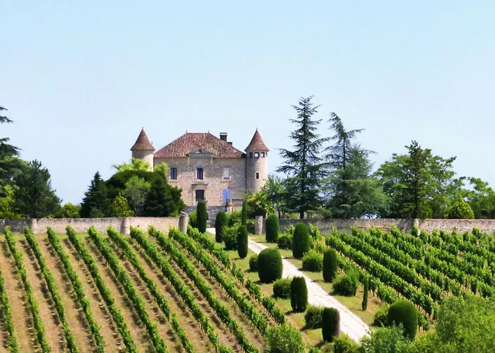 Domaene Mit Jacuzzi By Interhome Gavaudun